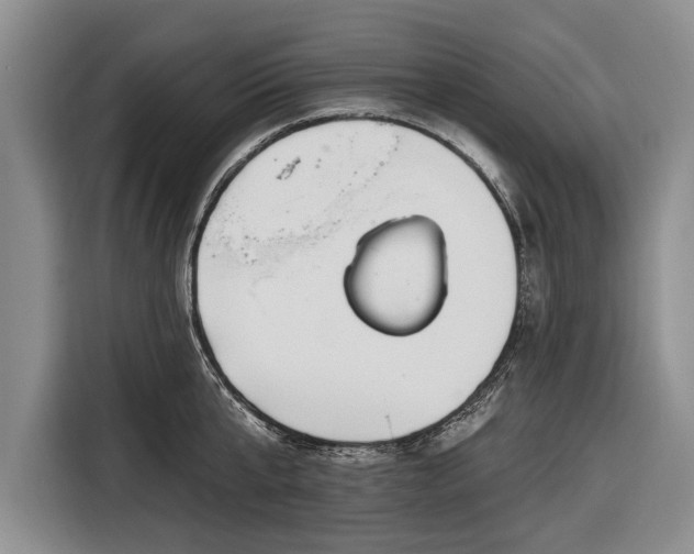 X0000116670807200912211602