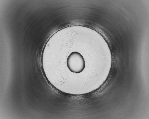 X0000116670810200912211602