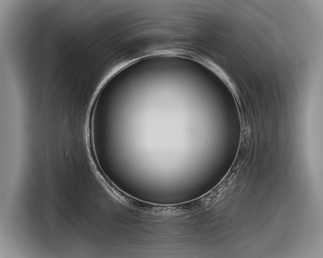 X0000116670811200912211602