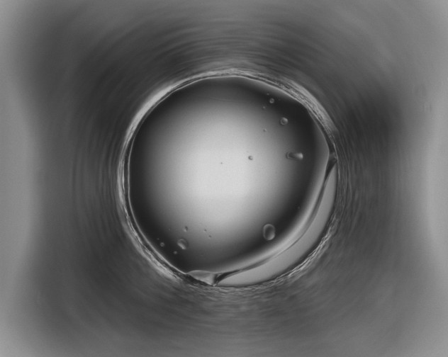 X0000116670812200912211602