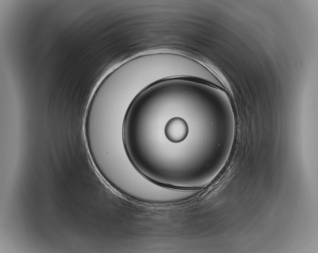 X0000116670813200912211602