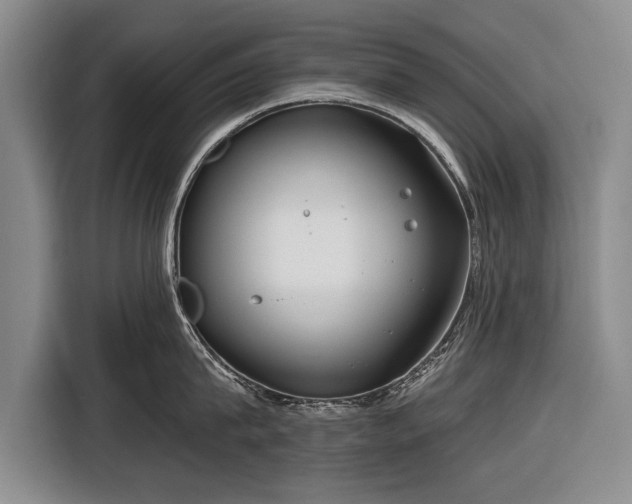 X0000116670815200912211602