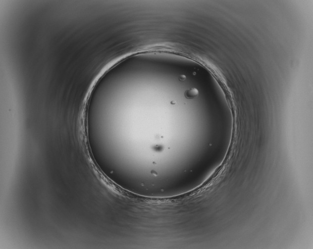 X0000116670816200912211602