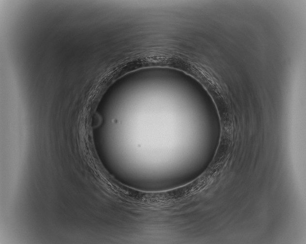 X0000116670817200912211602