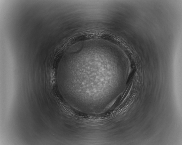 X0000116670818200912211602