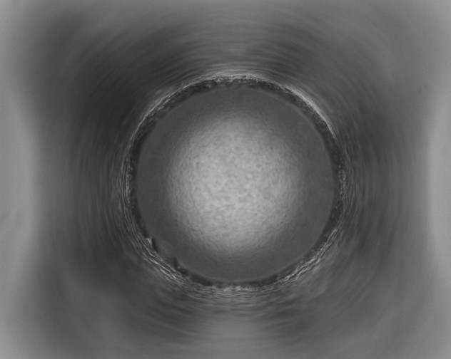 X0000116670823200912211602