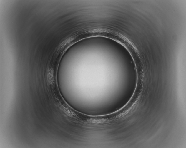 X0000116670825200912211602