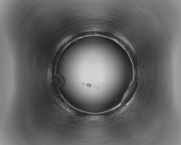 X0000116670826200912211602