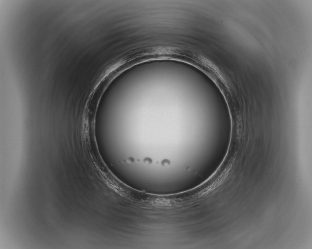 X0000116670827200912211602