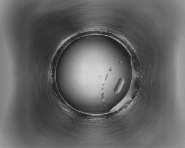 X0000116670830200912211602