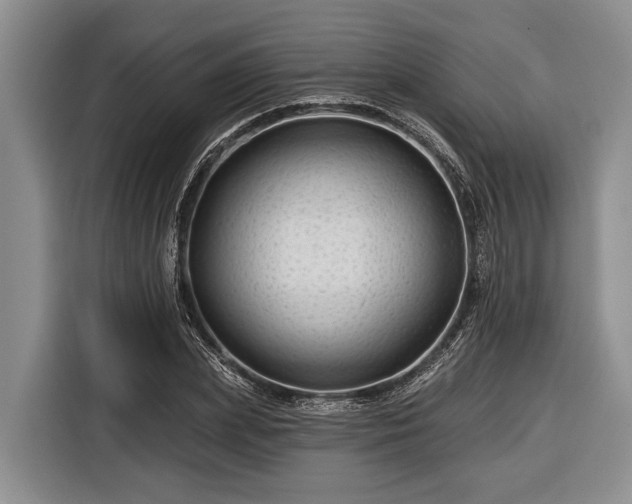 X0000116670831200912211602