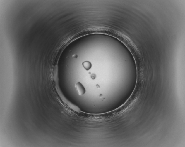 X0000116670833200912211602