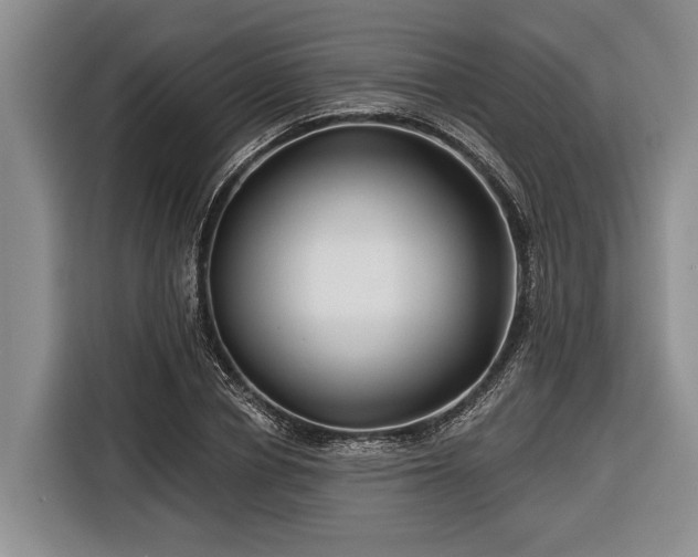 X0000116670834200912211602