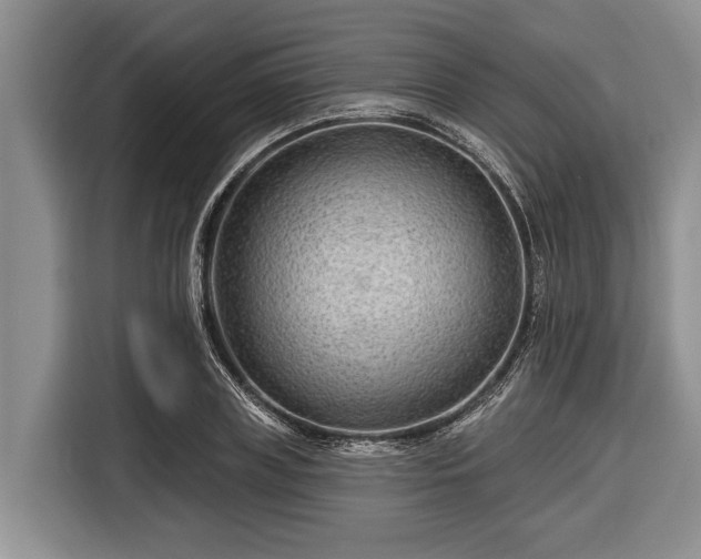 X0000116670835200912211602