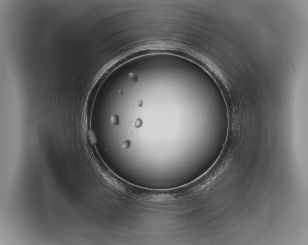 X0000116670837200912211602