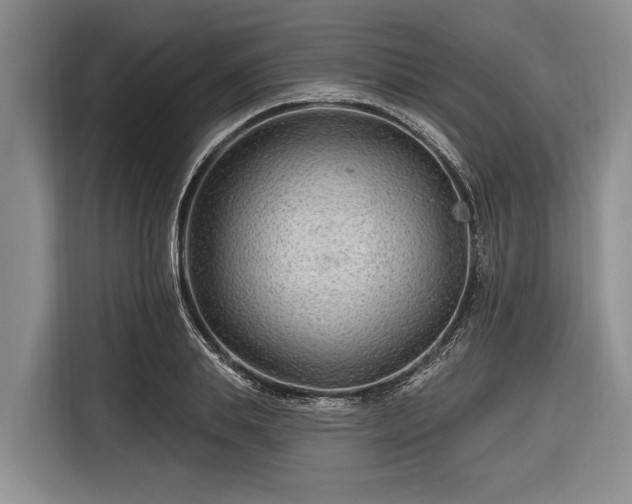 X0000116670839200912211602