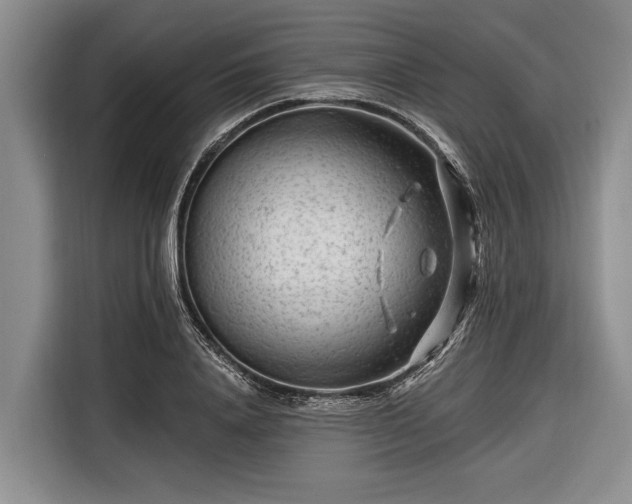 X0000116670840200912211602