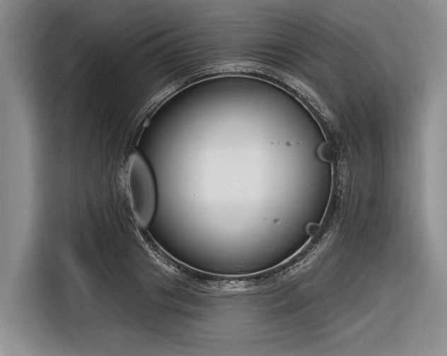 X0000116670841200912211602