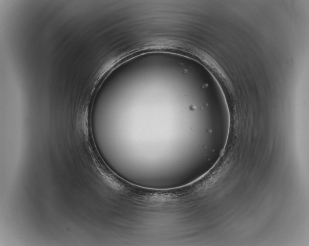 X0000116670842200912211602