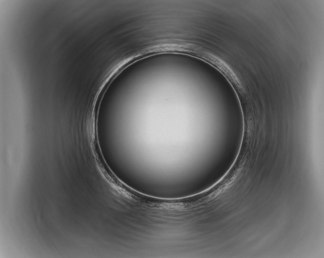 X0000116670844200912211602