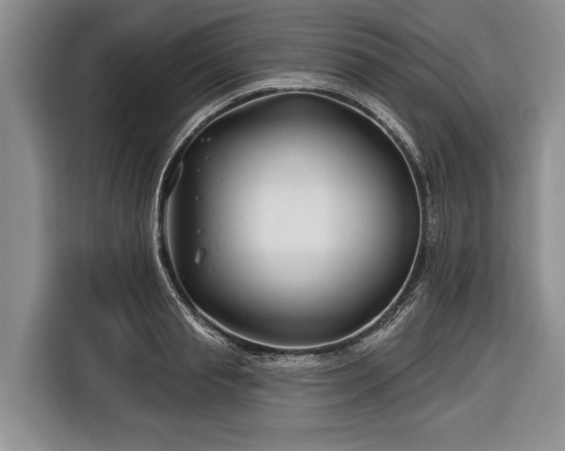 X0000116670845200912211602