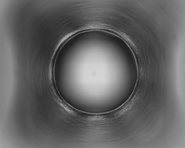 X0000116670846200912211602