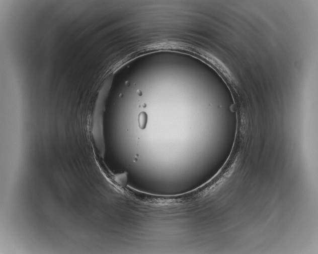 X0000116670849200912211602