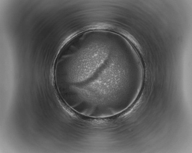 X0000116670850200912211602