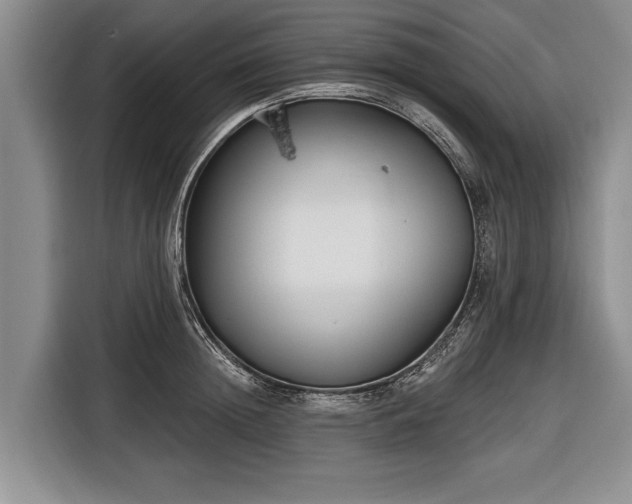 X0000116670852200912211602