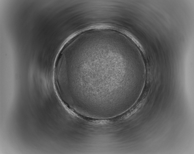 X0000116670853200912211602