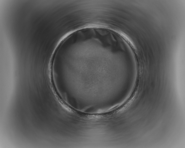 X0000116670854200912211602