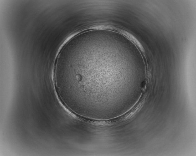 X0000116670855200912211602