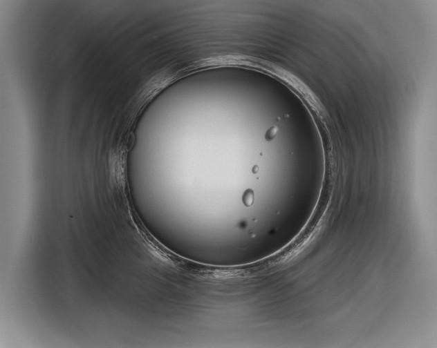 X0000116670857200912211602