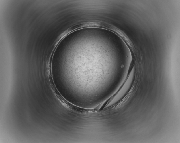 X0000116670858200912211602