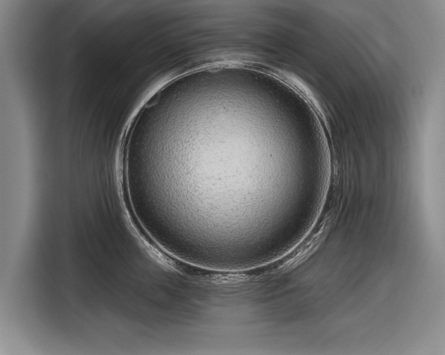 X0000116670859200912211602