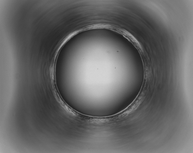 X0000116670860200912211602