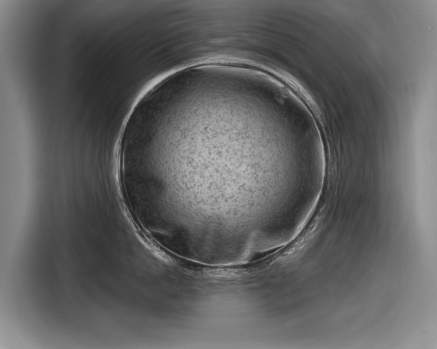 X0000116670862200912211602