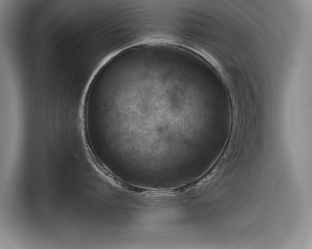 X0000116670864200912211602