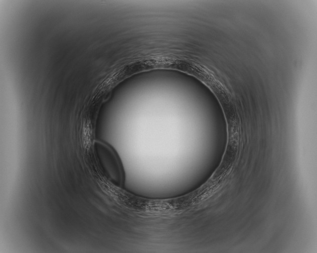 X0000116670866200912211602