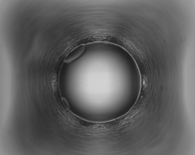 X0000116670867200912211602