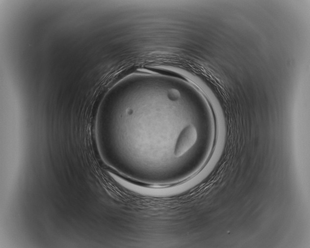 X0000116670868200912211602