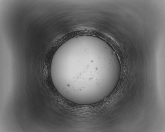 X0000116670869200912211602