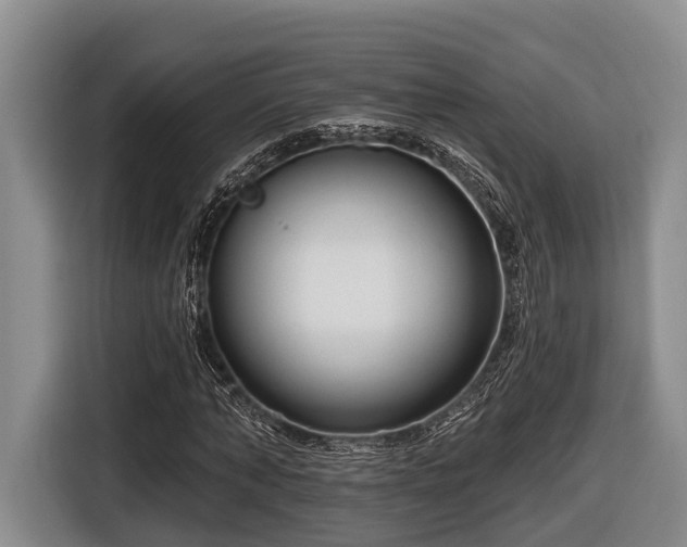 X0000116670870200912211601