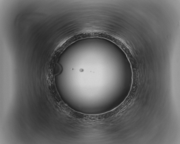 X0000116670871200912211601