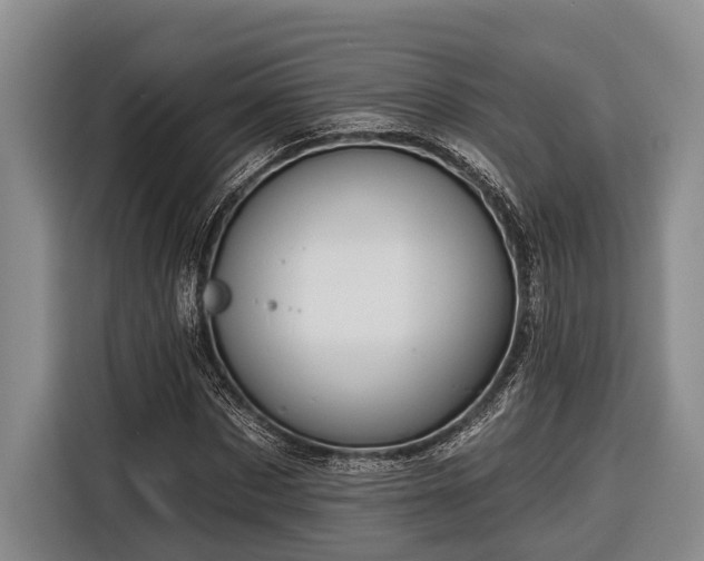 X0000116670873200912211601