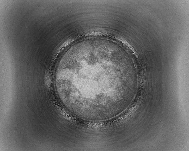 X0000116670874200912211601