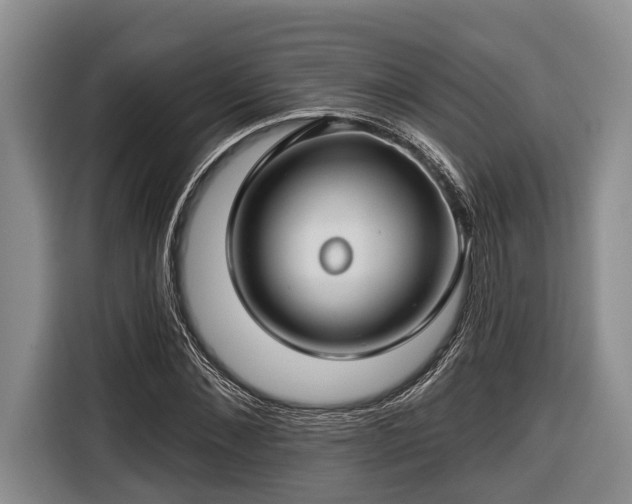 X0000116670876200912211601