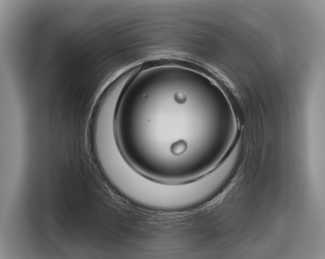 X0000116670877200912211601