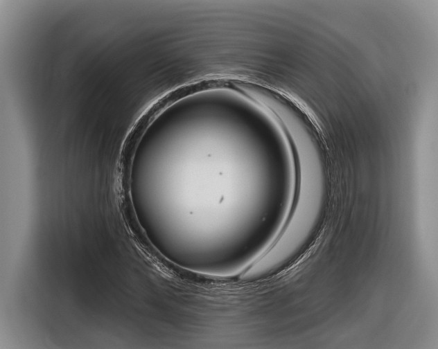 X0000116670878200912211601