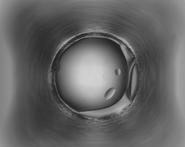 X0000116670879200912211601